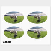 WELSH MOUNTAIN SHEEP OVALE STICKER (Vel)