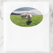 WELSH MOUNTAIN SHEEP OVALE STICKER (Tas)