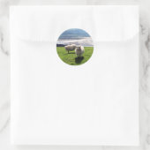 WELSH MOUNTAIN SHEEP RONDE STICKER (Tas)