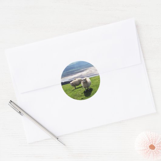 WELSH MOUNTAIN SHEEP RONDE STICKER (Envelop)
