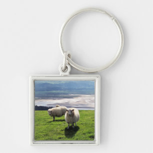 WELSH MOUNTAIN SHEEP SLEUTELHANGER
