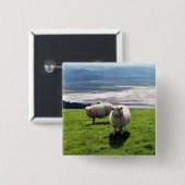 WELSH MOUNTAIN SHEEP VIERKANTE BUTTON 5,1 CM (Voorkant /achterkant)