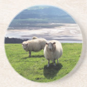 WELSH MOUNTAIN SHEEP ZANDSTEEN ONDERZETTER (Voorkant)
