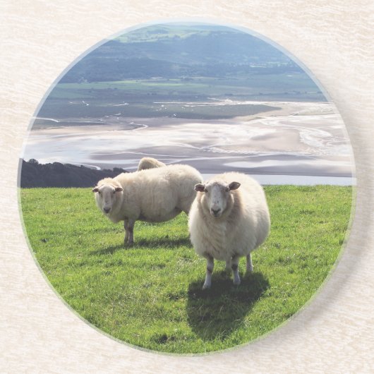 WELSH MOUNTAIN SHEEP ZANDSTEEN ONDERZETTER (Voorkant)