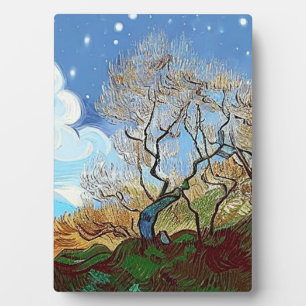 WELSH MOUNTAIN TREE FOTOPLAAT