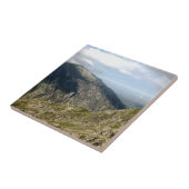 WELSH MOUNTAINS TEGELTJE (Zijkant)