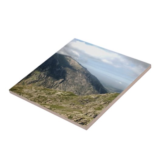 WELSH MOUNTAINS TEGELTJE (Zijkant)