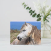 Welsh Pony Briefkaart (Staand voorkant)