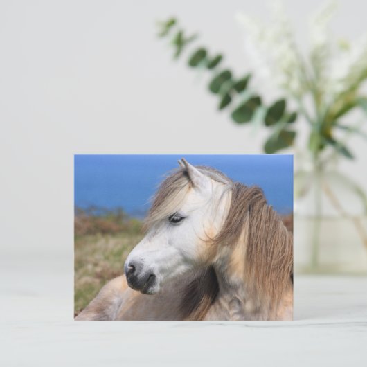 Welsh Pony Briefkaart (Staand voorkant)