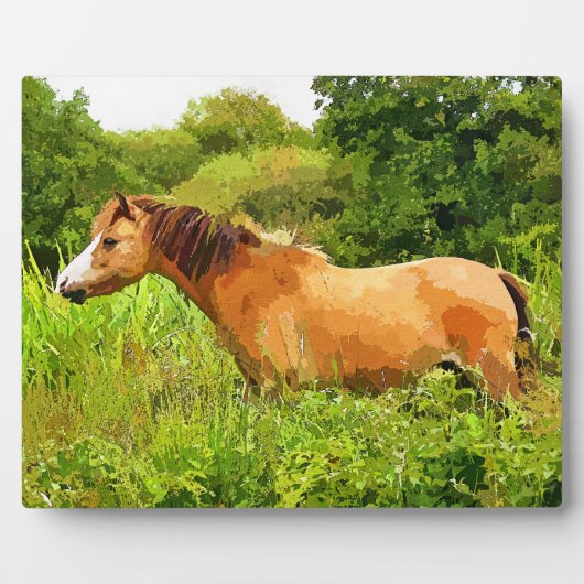 WELSH PONY FOTOPLAAT (Voorkant)