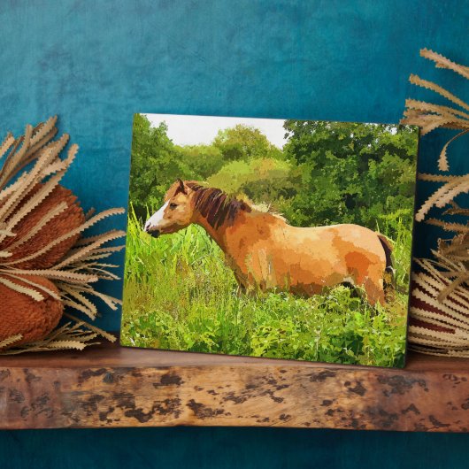 WELSH PONY FOTOPLAAT (Zijkant)