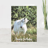 WELSH PONY KAART (Voorkant)