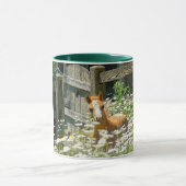 Welsh pony mok (Midden)