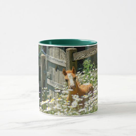 Welsh pony mok (Midden)