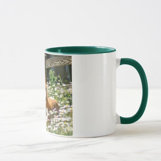 Welsh pony mok (Rechts)