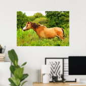 WELSH PONY POSTER (Thuiskantoor)
