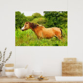WELSH PONY POSTER (Keuken)