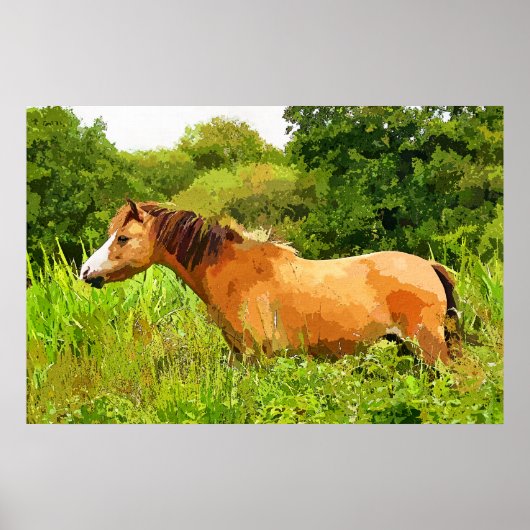 WELSH PONY POSTER (Voorkant)