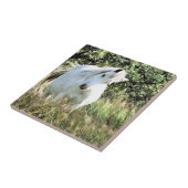 WELSH PONY TEGELTJE (Zijkant)