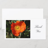 Welsh Poppy (Oranje) - Dank u wel Bedankkaart (Voorkant / Achterkant)