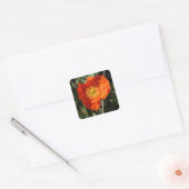 Welsh Poppy (Oranje) Vierkante Sticker (Envelop)