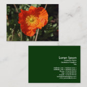 Welsh Poppy (Oranje) Visitekaartje (Voorkant / Achterkant)