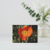Welsh Poppy (Oranje) Visitekaartje (Staand voorkant)