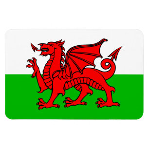 Welsh Red Dragon Wales Flag Magneet