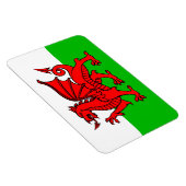 Welsh Red Dragon Wales Flag Magneet (Rechterzijde)