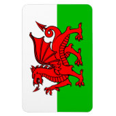 Welsh Red Dragon Wales Flag Magneet (Verticaal)