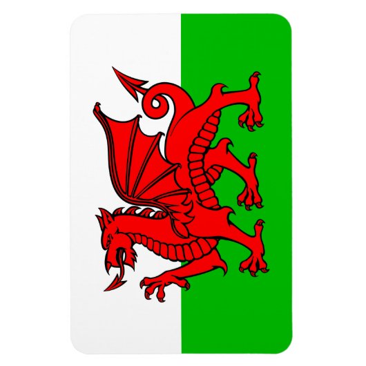 Welsh Red Dragon Wales Flag Magneet (Verticaal)