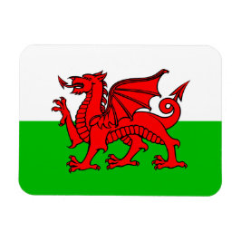 Welsh Red Dragon Wales Flag Magneet