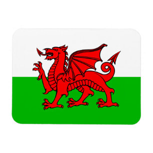 Welsh Red Dragon Wales Flag Magneet