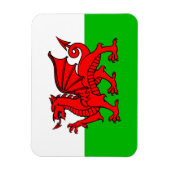 Welsh Red Dragon Wales Flag Magneet (Verticaal)