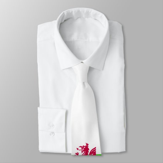 Welsh Rugby Grand Slam! stropdas 2008 (Gebonden)