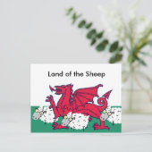 welsh schaap, Land van de Schapen Briefkaart (Staand voorkant)