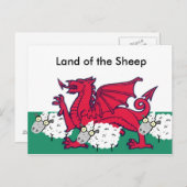welsh schaap, Land van de Schapen Briefkaart (Voorkant / Achterkant)