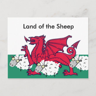 welsh schaap, Land van de Schapen Briefkaart