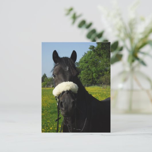 Welsh Sectie D Briefkaart (Staand voorkant)