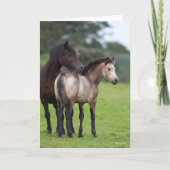 Welsh Section D Mare and Foal Standing Kaart (Voorkant)