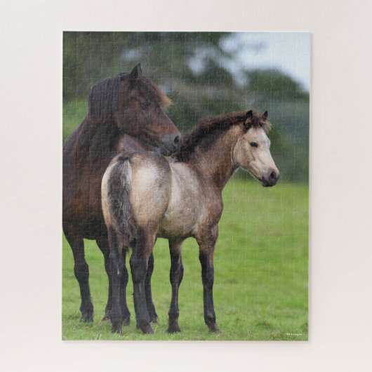 Welsh Section D Mare and Foal Standing Legpuzzel (Verticaal)