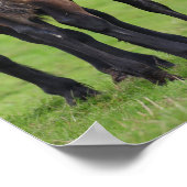 Welsh Section D Mare and Foal Standing Poster (Hoek)