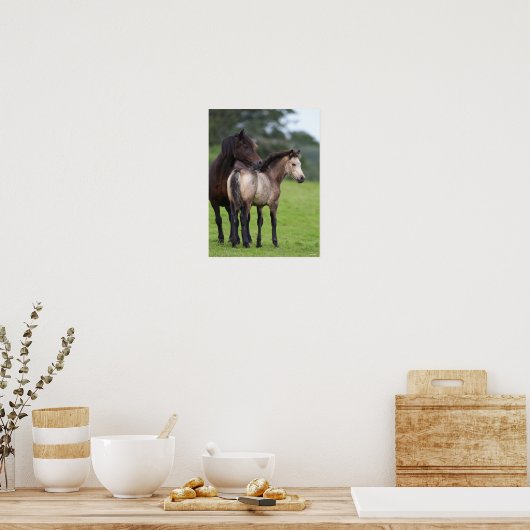 Welsh Section D Mare and Foal Standing Poster (Keuken)