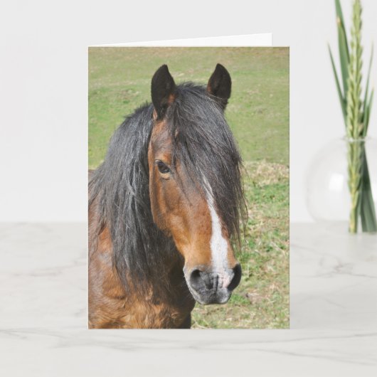 Welsh Section D verjaardag Kaart (Voorkant)