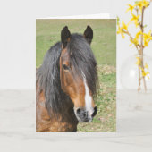 Welsh Section D verjaardag Kaart (Gele Bloem)