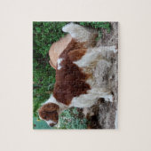 Welsh Springer Our Family Pet Legpuzzel (Verticaal)