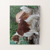 Welsh Springer Our Family Pet Legpuzzel (Verticaal)