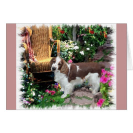 Welsh Springer Spaniel Art Gifts