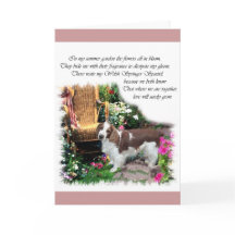 Welsh Springer Spaniel Art Gifts