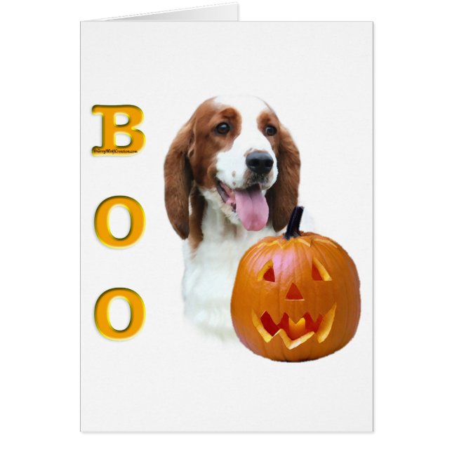 Welsh Springer Spaniel Boo (Voorkant)
